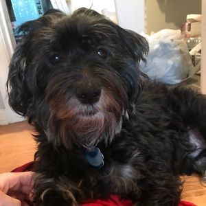 Meet your Posher, Mark